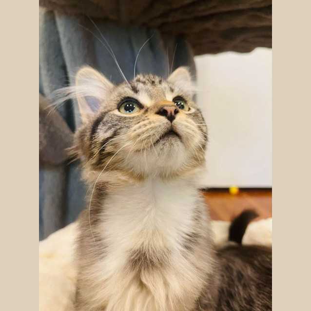 Photo of Jelly    Located In Preston
