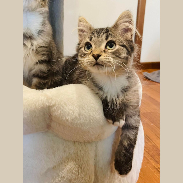 Photo of Jelly    Located In Preston
