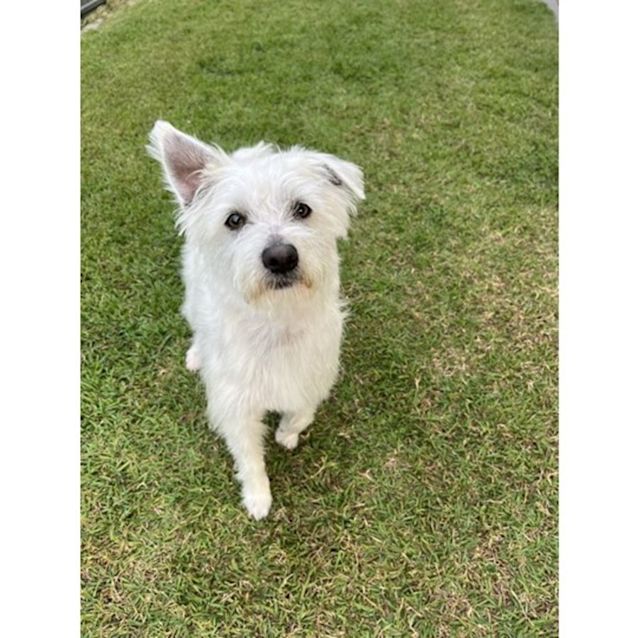 Photo of Spike