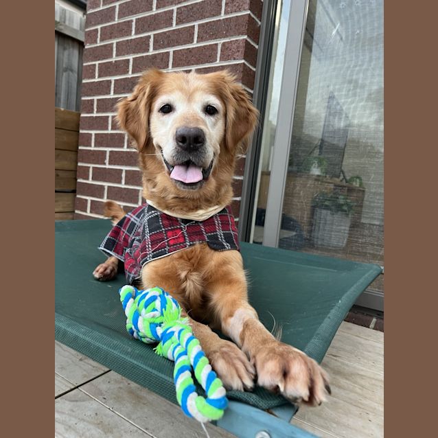 Photo of Rosie