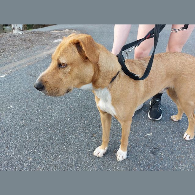 Photo of Winston
