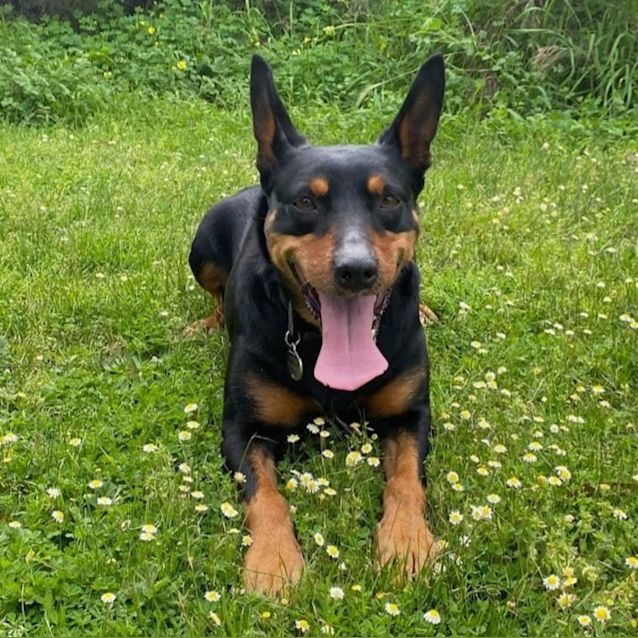 Photo of Jude