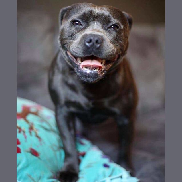 Photo of Ruby