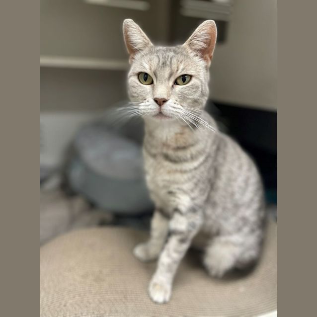 Photo of Tammy