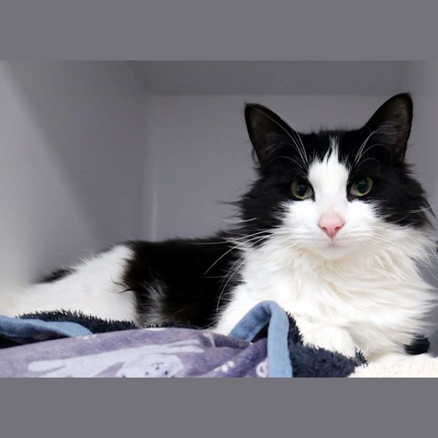 Photo of Sushi Rsta010809