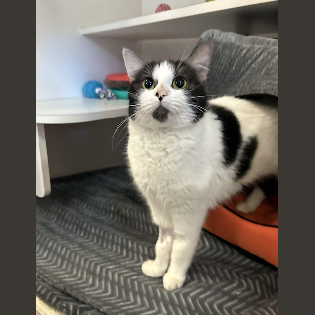 Photo of Lulu