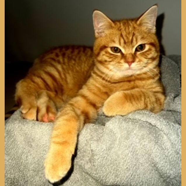 Photo of George Weasley