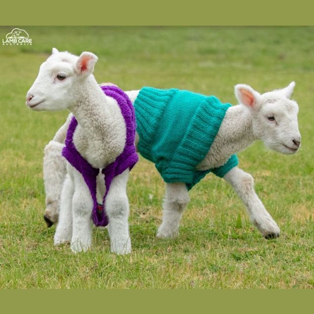 Photo of Arthur And Felix