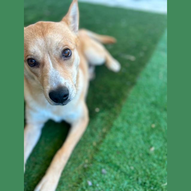 Photo of Huey