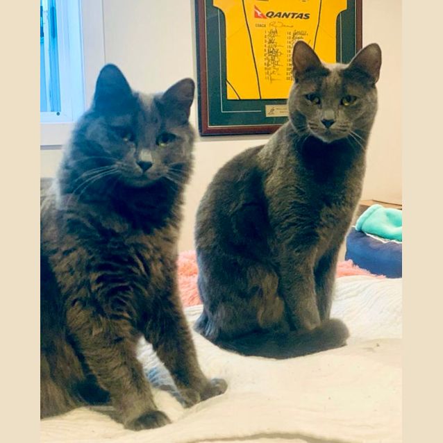 Photo of Violet & Ollie