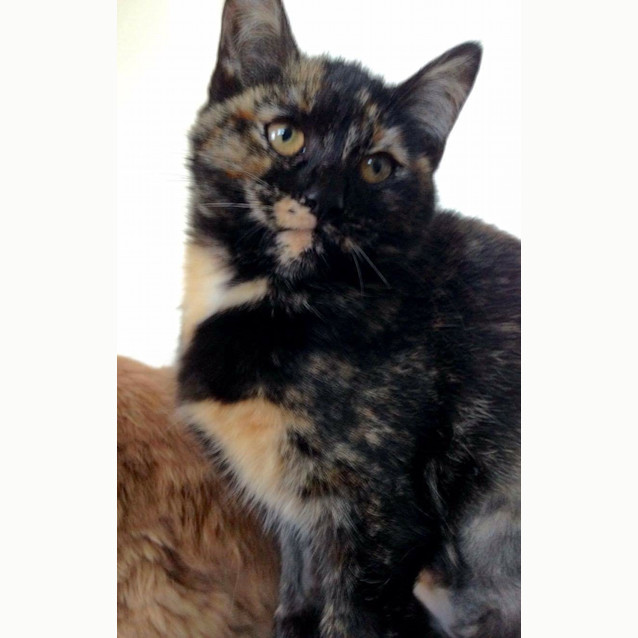 Photo of Josephine