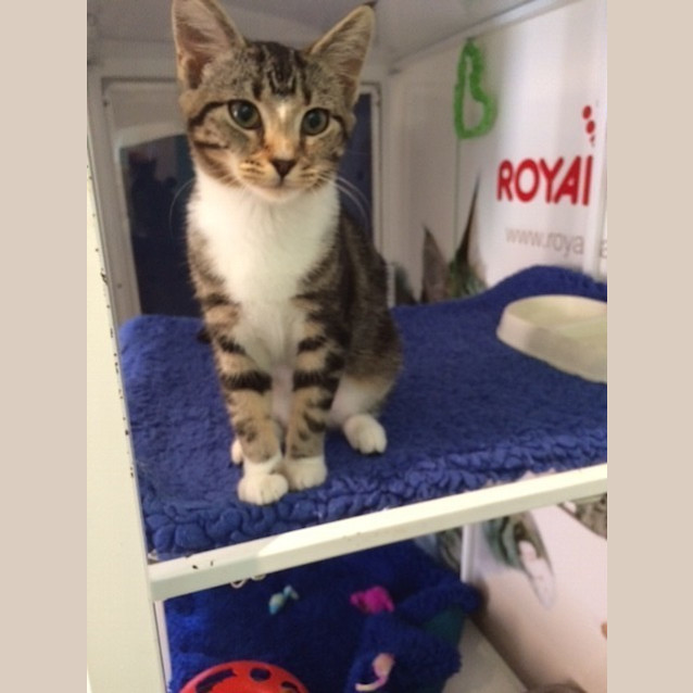 Photo of Izzy