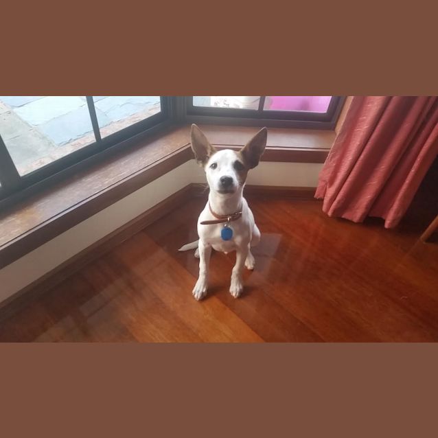 Photo of Buster