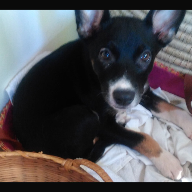 Photo of Jenny