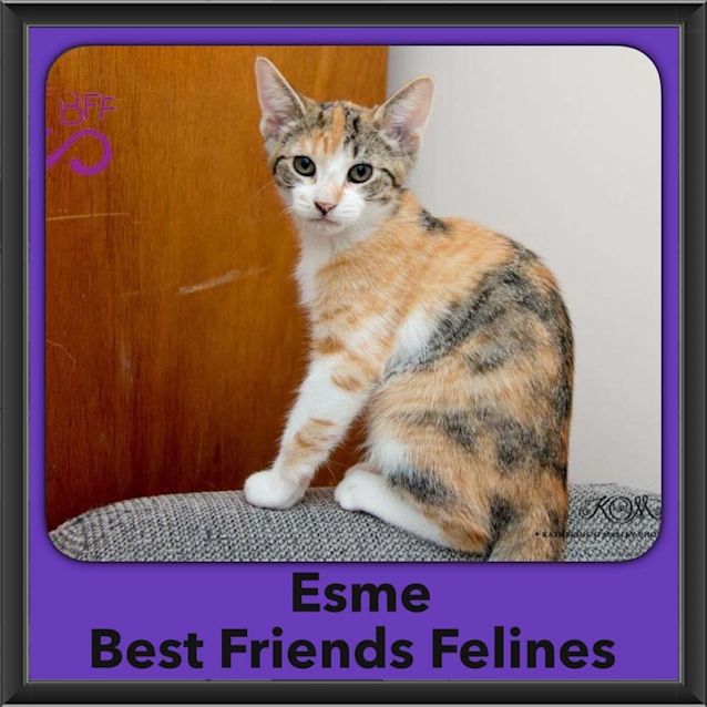 Photo of Esme