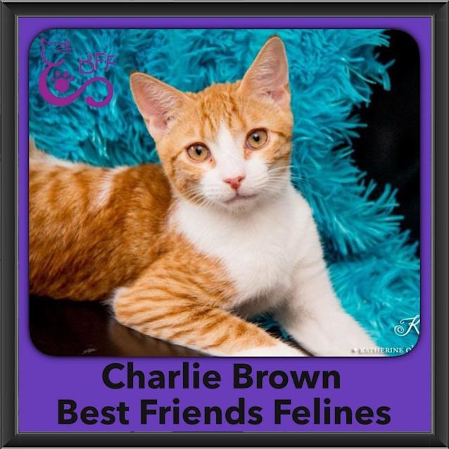 Photo of Charlie Brown