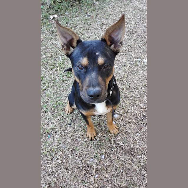 Photo of Theo