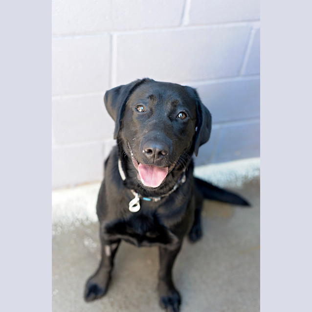 Photo of Jedda