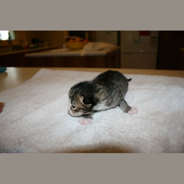 Photo of New Babies Born In A Pound