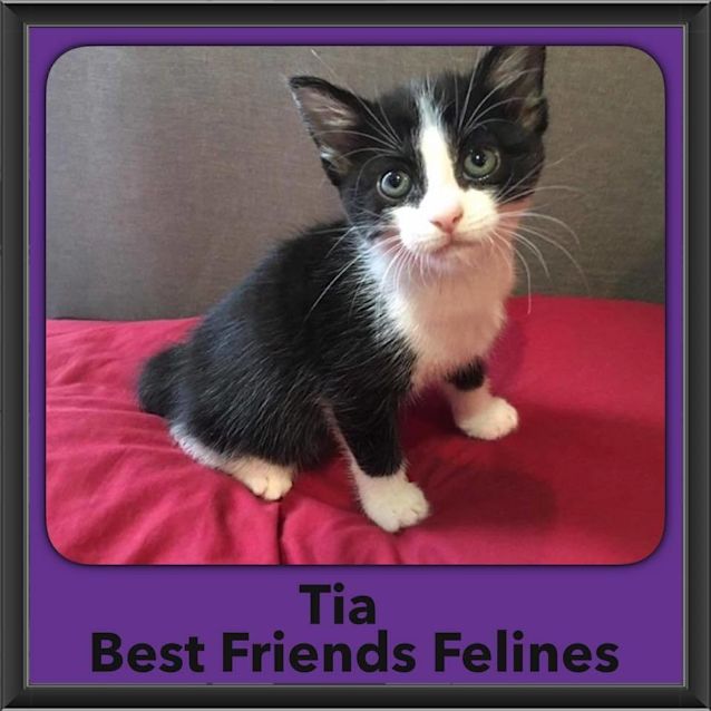Photo of Tia