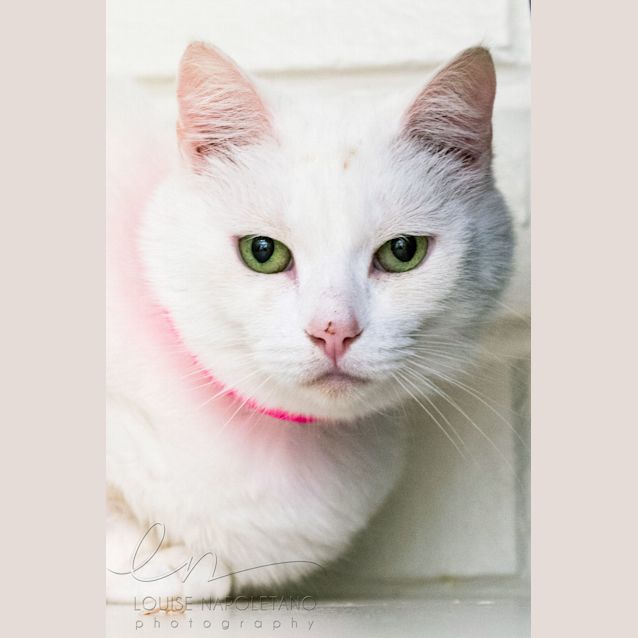 Photo of Storm (3852)