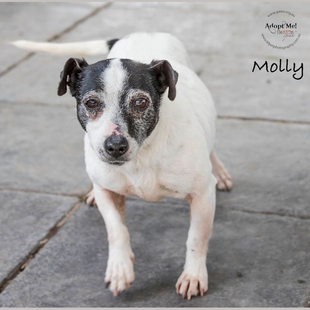 Photo of Molly Id32831