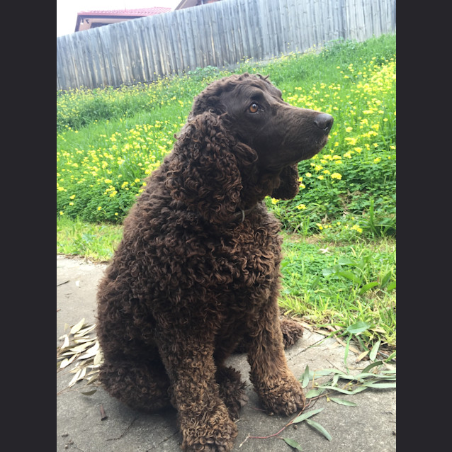 Photo of Penny W