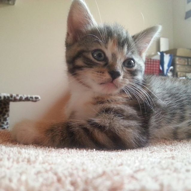 Photo of Nyssa