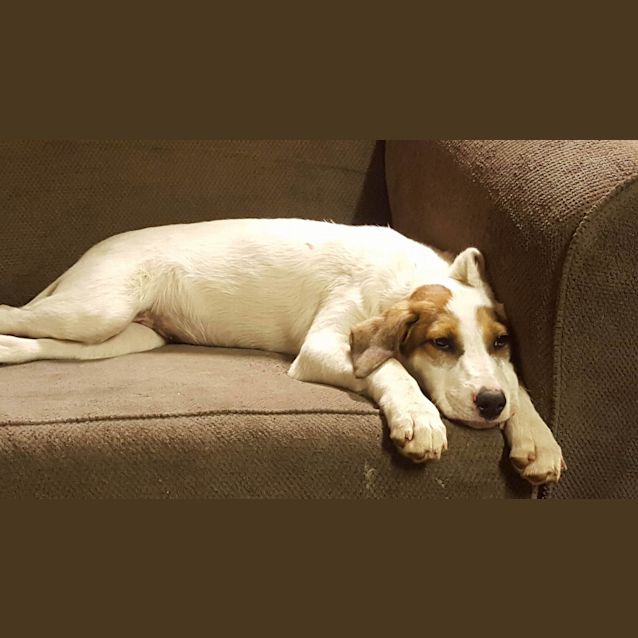 Photo of Star