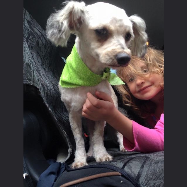 Photo of Bronti (Only Available For Lismore,And Surrounding