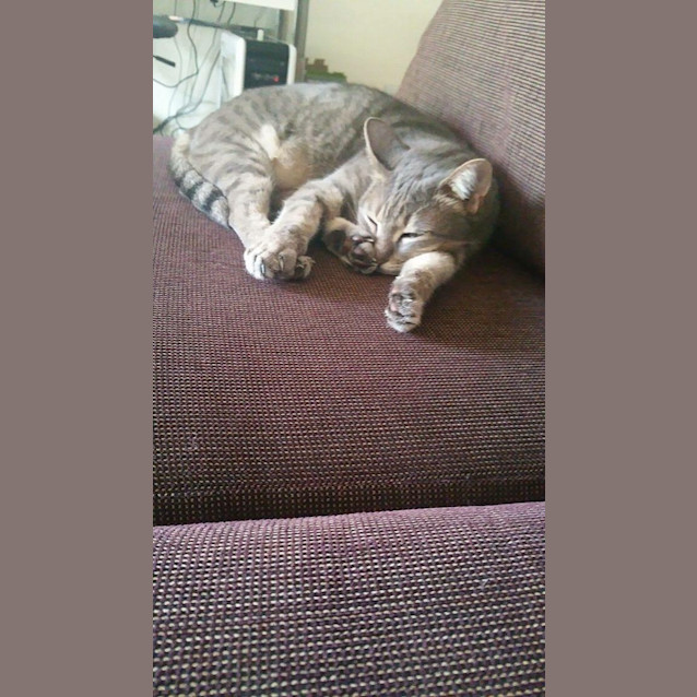 Photo of Lily