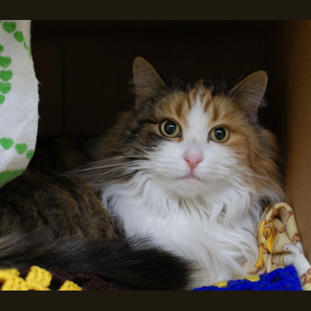 Photo of Tammy #Sua000013