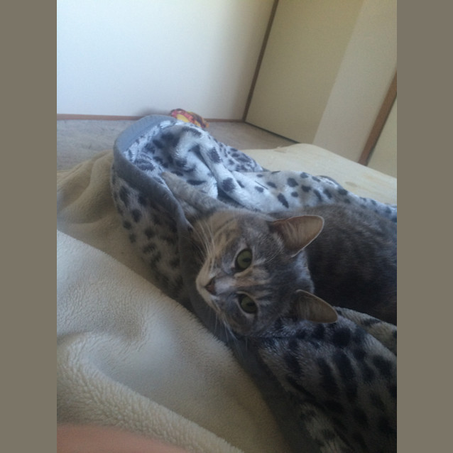 Photo of Izzi And Charlie