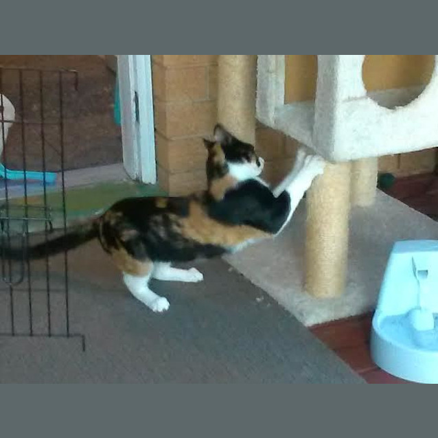 Photo of Molly