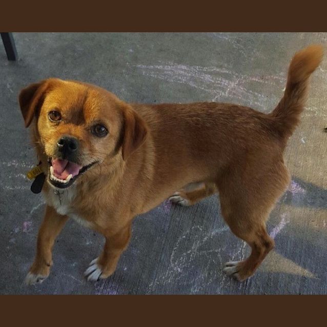 Photo of Turbo Ed0046