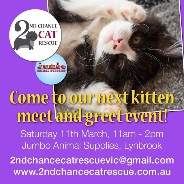 Photo of Simon Dyer **2nd Chance Cat Rescue**
