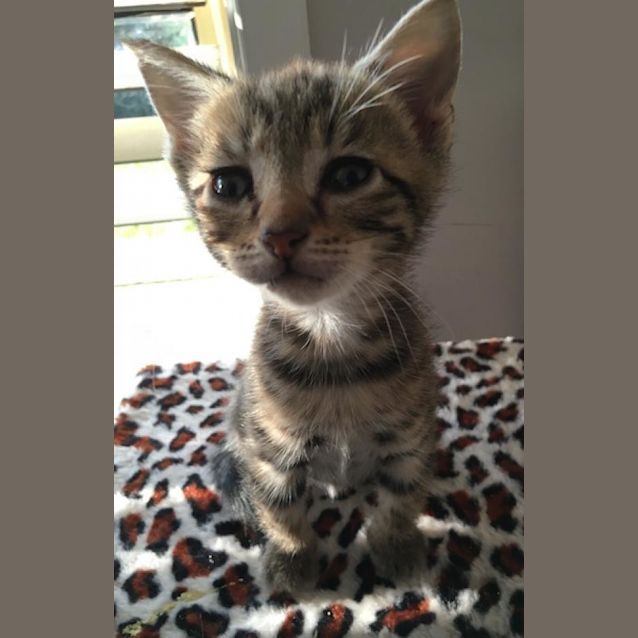 Photo of Timmy