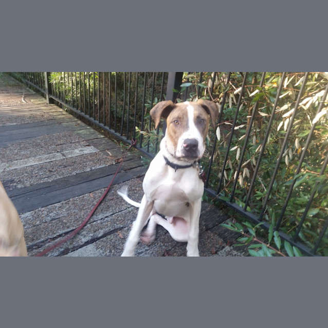 Photo of Murrumba
