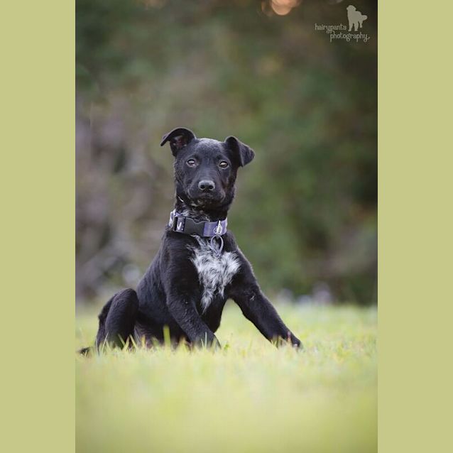 Photo of Nika