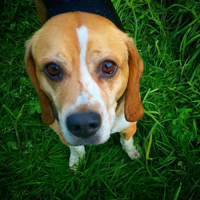 Photo of Ben