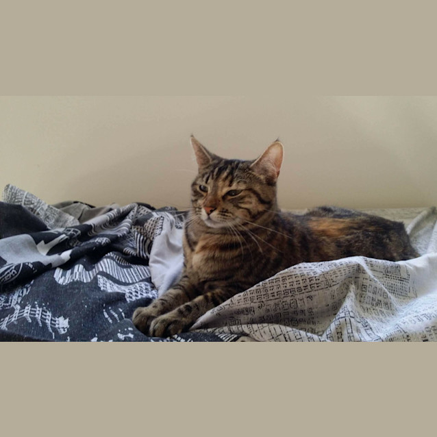 Photo of Harley