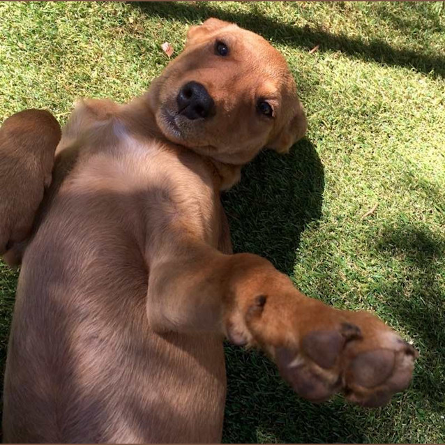 Photo of Sally