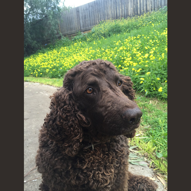Photo of Penny W
