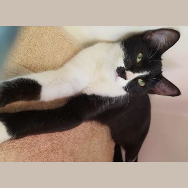 Photo of Mia