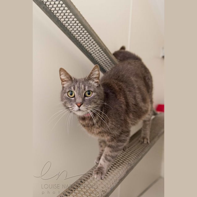 Photo of Princess (4659)