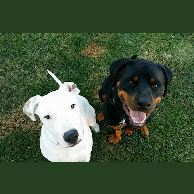 Photo of Solo 