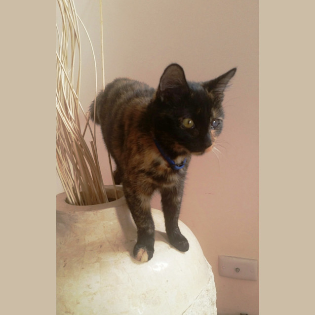 Photo of Bonnie