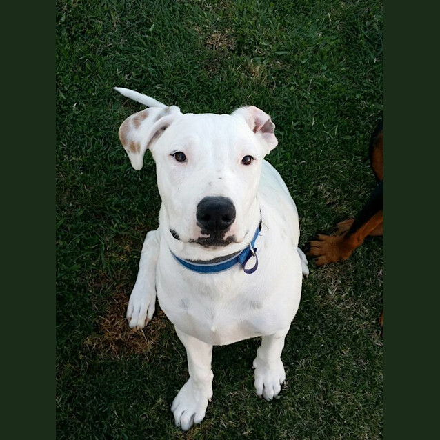 Photo of Solo 