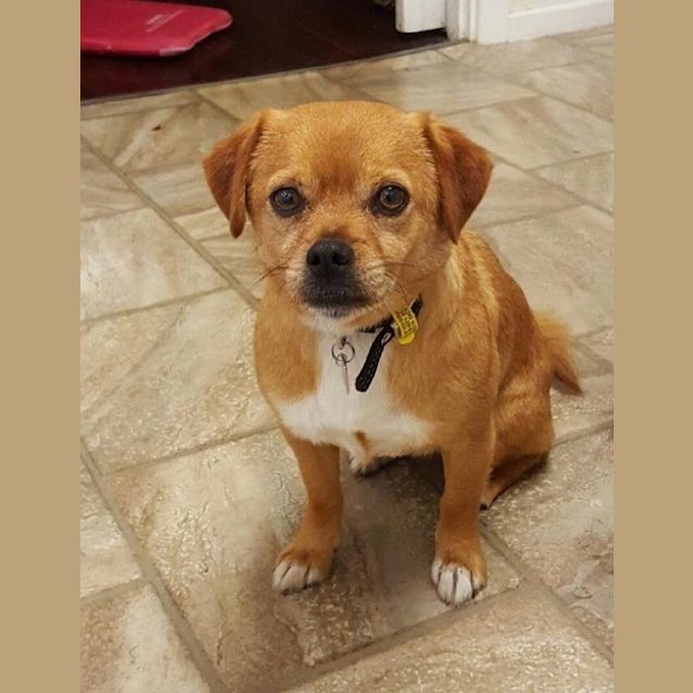 Photo of Turbo Ed0046