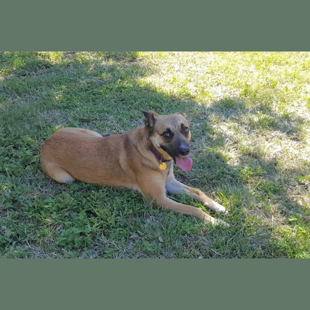Photo of Emmy (D3382) 